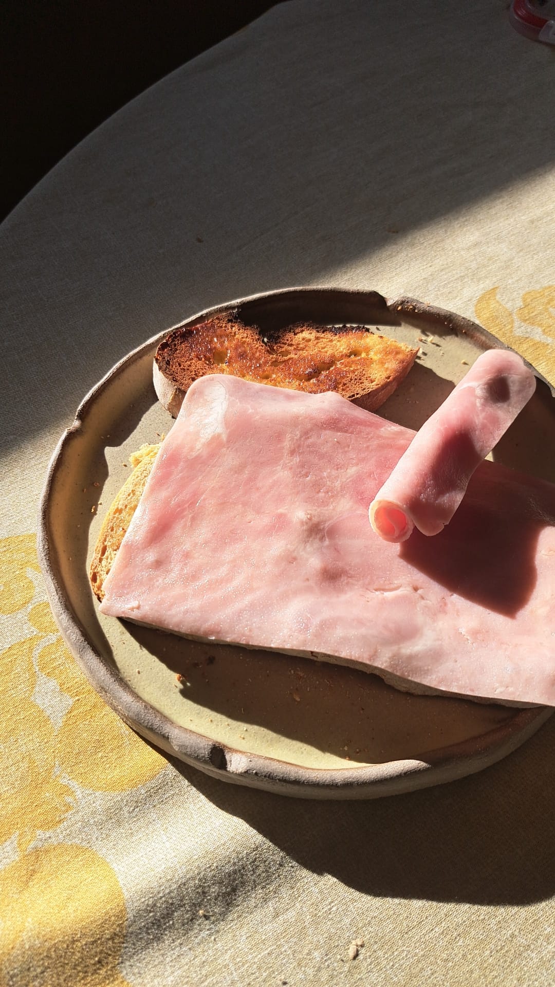 Prato de refeição